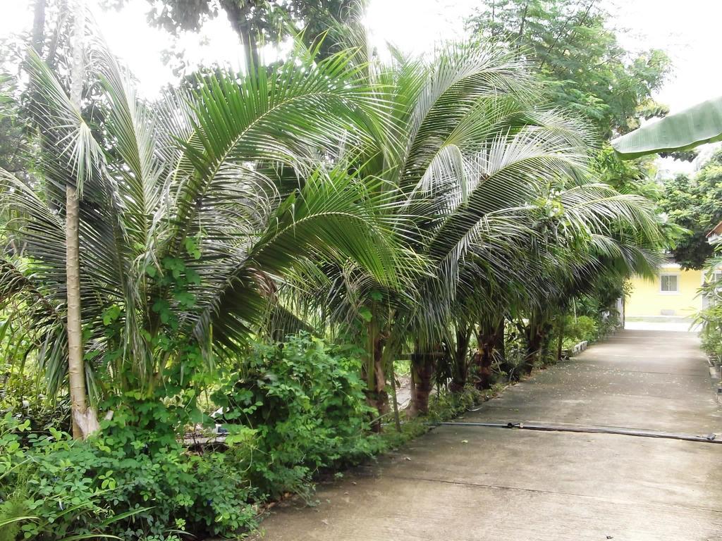 Wilai Villa Lamai Maret Pokój zdjęcie